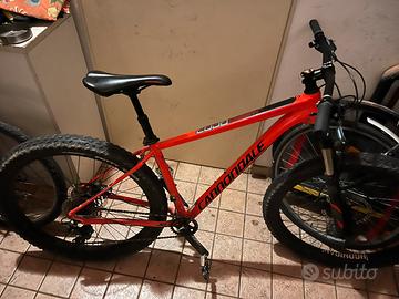 cannondale taglia m