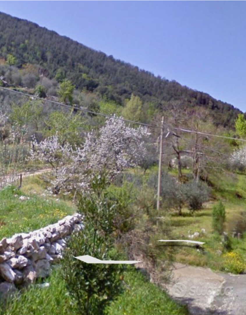 Terreno di 4539mq con uliveto secolare-Sonnino(LT) - Vista 3
