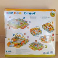 Palestrina Activity 3d brevi 