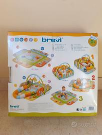 Palestrina Activity 3d brevi 