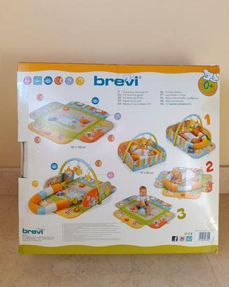 Palestrina Activity 3d brevi 