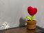 Immagine 3