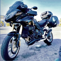 Splendida Triumph Tiger 1050 come nuova