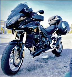 Splendida Triumph Tiger 1050 come nuova