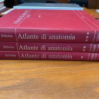 ATLANTE DI ANATOMIA - SOBOTTA, USES - 1974