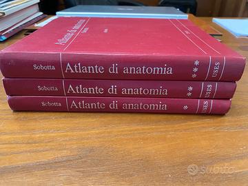 ATLANTE DI ANATOMIA - SOBOTTA, USES - 1974
