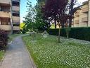 5-locali-a-firenze