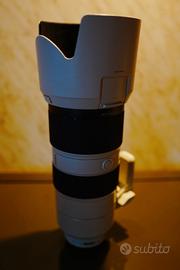 Sony 70-200mm Serie GM.