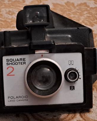 Polaroid