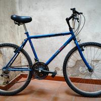 Bicicletta Mountain Bike COPPI 26"