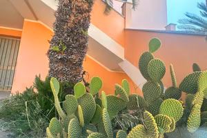 Nuovo appartamento con terrazza e cantina