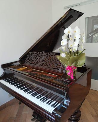 Pianoforte Schiedmayer