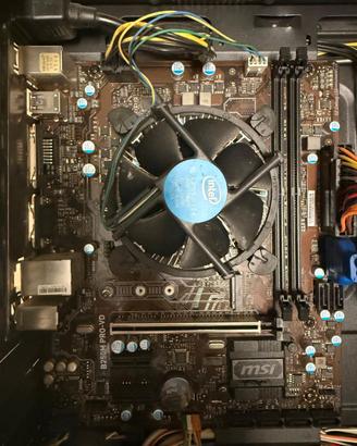Scheda madre MSI B250M-PRO-VD DDR4 e Intel Core i3