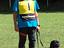 Immagine 5
