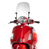 Cupolino Malossi Sport Piaggio Vespa GTS 23-25