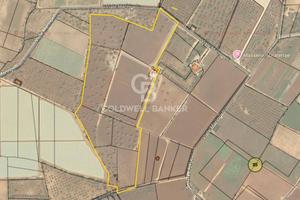 Terreno agricolo - Polignano a Mare