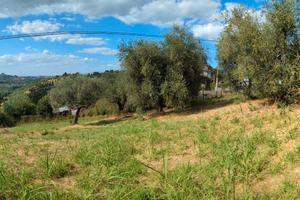 Terreno edificabile mono/ bifamiliare