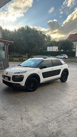 C4 cactus