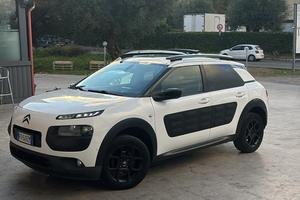 C4 cactus