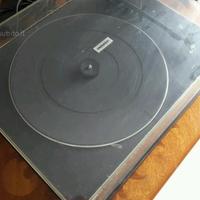 Vendita piatto pioneer