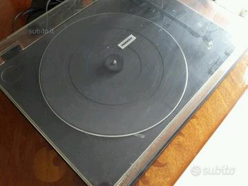 Vendita piatto pioneer