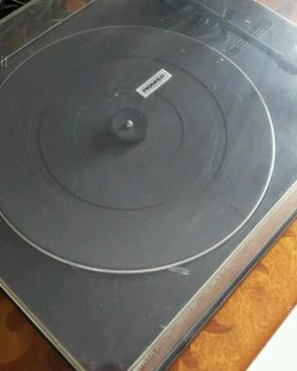Vendita piatto pioneer