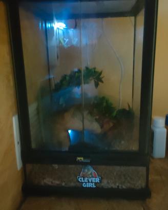 terrario in vetro