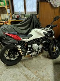 MV Agusta Brutale 800 - 2013