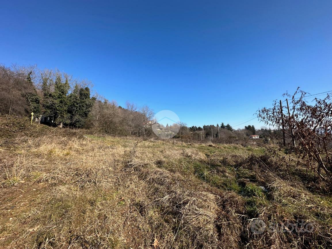 TER. AGRICOLO A RIVOLI - Altro
