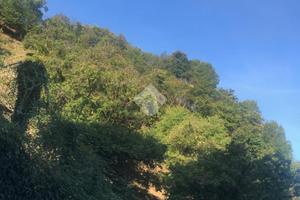 TER. AGRICOLO A PISOGNE