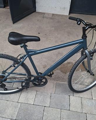 bicicletta donna grigio scuro