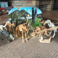 DINOSAURI SCHELETRO