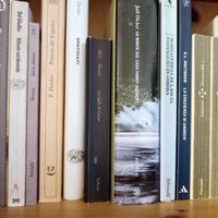30 libri di autori vari scaffale 2