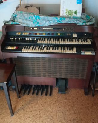 organo hammond 