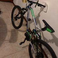 Bici elettrica