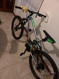 Bici elettrica