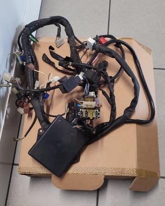 Impianto elettrico Yamaha R6 99/2002