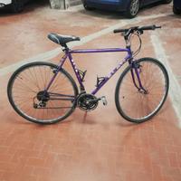 Bicicletta City Bike Elan 28