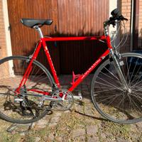 Bicicletta sportiva Colnago SL