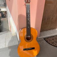 Chitarra Eko Guitars