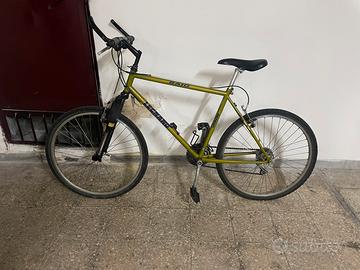 Bicicletta