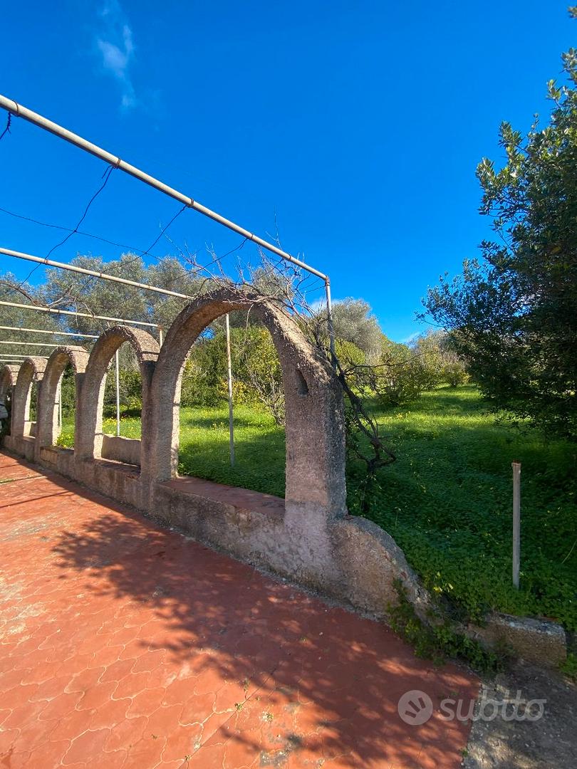 Immediata periferia Antico Podere con uliveto - Vista 2