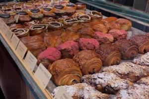 Attività canna fumaria Bologna