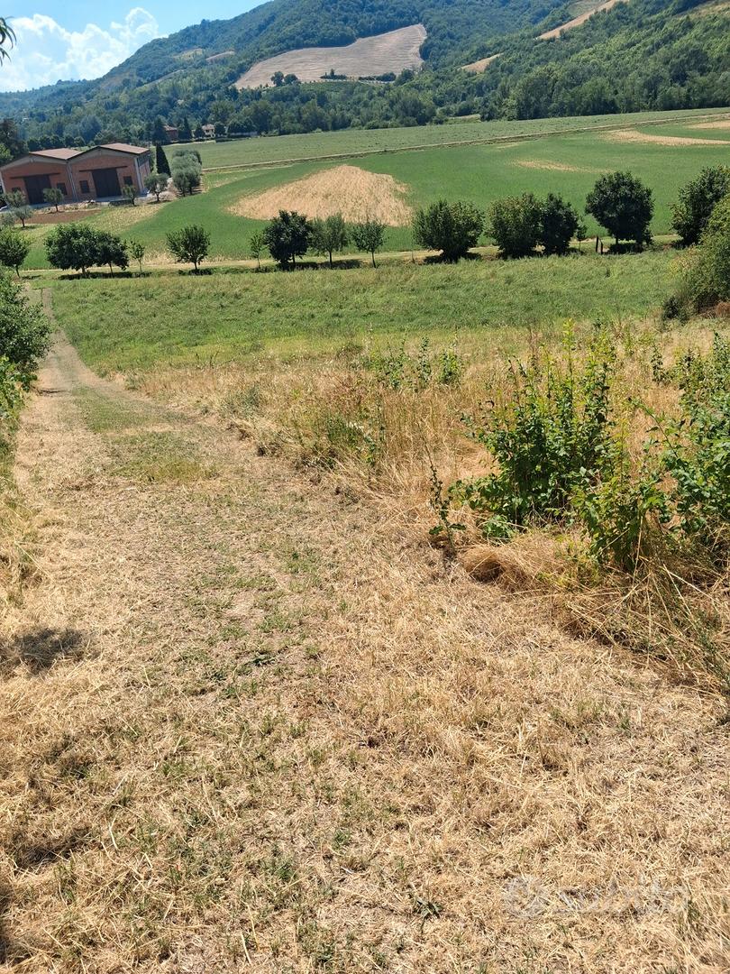 Terreno agricolo adatto alla coltivazione - Altro