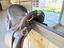 Immagine 5