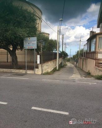 Uliveto pressi Chiesa di Piano Torre rif. BDZ-5026