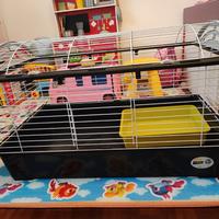 Gabbia e trasportino per roditori