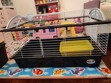 Gabbia e trasportino per roditori