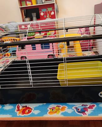 Gabbia e trasportino per roditori