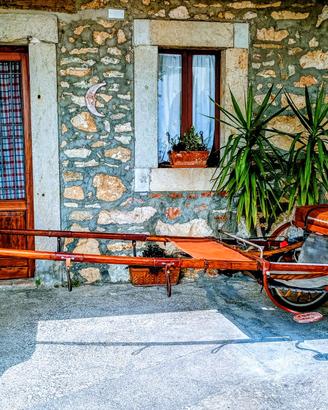 Calesse per cavallo ( con freno )